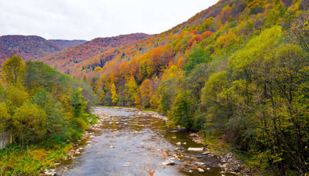 Autumn beautiful forest and riverの写真素材