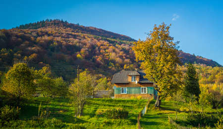 Autumn forest and clear blue sky and houseの写真素材