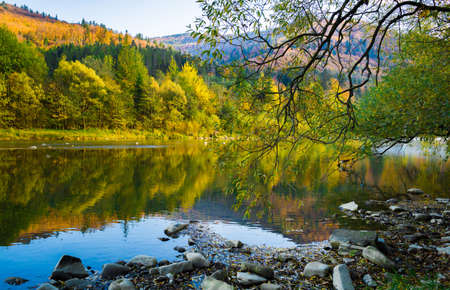 Autumn forest and blue sky and mountains and riverの写真素材