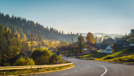 Road and autumn forest and countrysideの写真素材