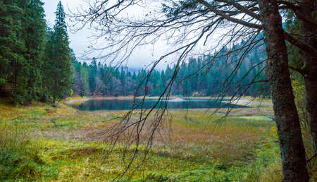 Colorful autumn landscape on Synevir lake, Ukraineの写真素材