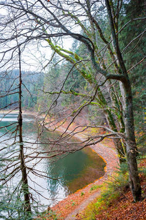 Colorful autumn landscape on Synevir lake, Ukraineの写真素材