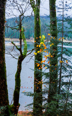 Colorful autumn landscape on Synevir lake, Ukraineの写真素材