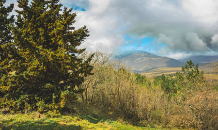 Beautiful Crimea mountain and forest sunny summer landscapeの写真素材