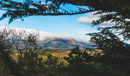 Beautiful Crimea mountain and forest sunny summer landscapeの写真素材