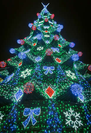 Colorful decorated fir with bright electric lightsの写真素材