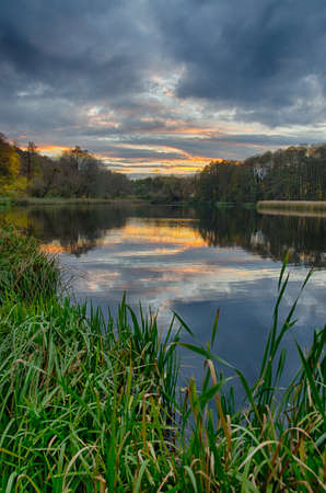 Sunset on the lake with forest with green grass in summerの写真素材