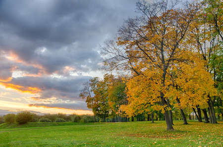 Beautiful sunset at the autumn park .の写真素材