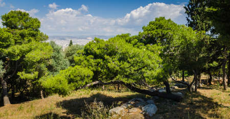 Panorama of Athens and trees on mountain, Greeceの写真素材