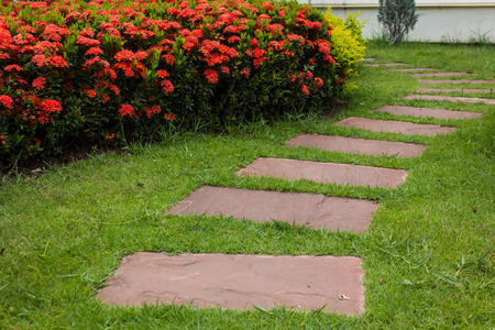 Stone walkway into garden.の写真素材