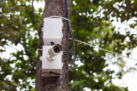 CCTV Camera on tree.