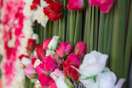 softness of fabric roses flower.の写真素材