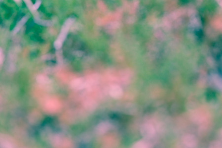 Abstract, natural colorful for use background.の写真素材