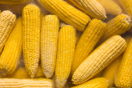 Boiled corn in metal pot at market.