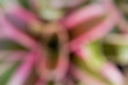 abstract natural colorful background.の写真素材