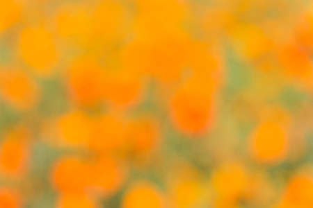 abstract natural colorful background.の写真素材