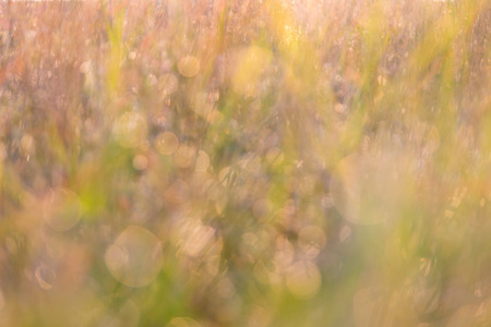 Colorful bokeh background, blurred bokeh.の写真素材