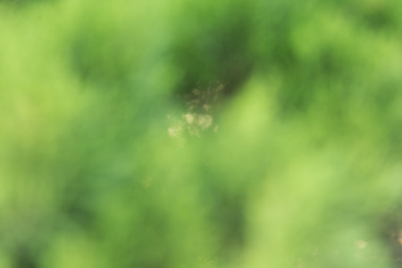 Abstract, natural colorful for use background.の写真素材