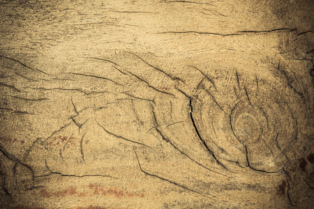 Wood Background Texture.の写真素材