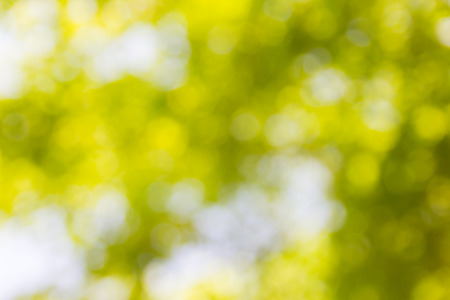 Abstract natural bokeh background, blurred bokeh.の写真素材