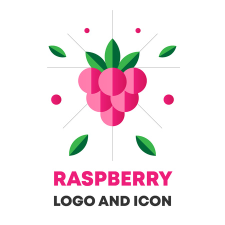Raspberry icon, berry vector illustration.のイラスト素材