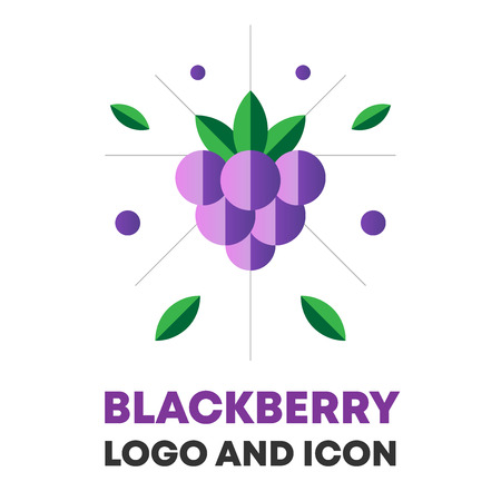 Blackberry, berry vector.のイラスト素材