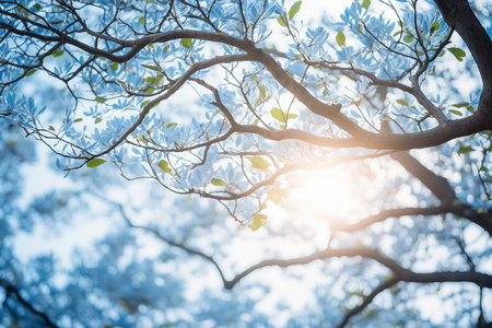 Beautiful Nature View of Flowering Tree Branches with Sunlight Under the Blue Skyの素材