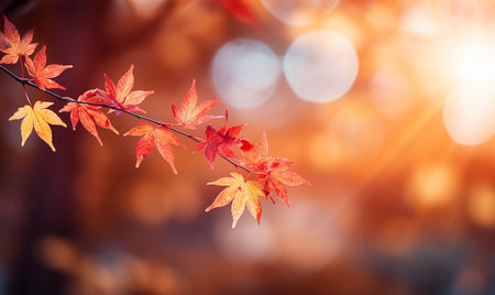 Generative AI Image of Autumn Fall Background with Tree Twig of Maple Leaves at Bright Dayの素材