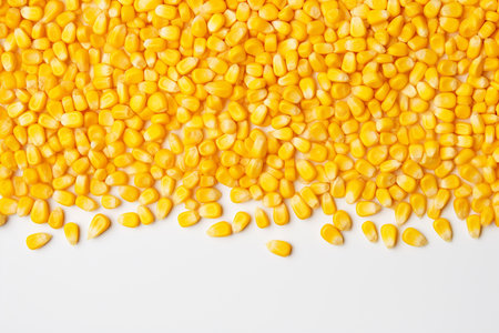 Generative AI Image of Yellow Corn Kernels on White Backgroundの素材