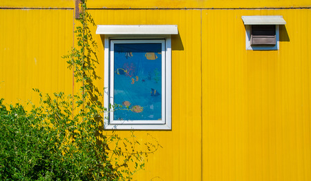colorful cargo containers used as home and housing roomの写真素材