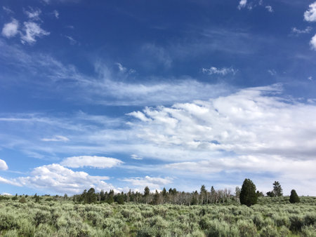 Beautiful mountainside with a few trees and lots of sagebrush, blue skies with dramatic wispy clouds.  Mountain in rural Utah near Price, UT.   Lovely mountain in rural Utah.のeditorial素材