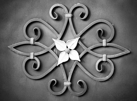 Details, structure and ornaments of forged iron gate.