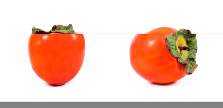 Persimmon fruit isolated on white backgroundの写真素材