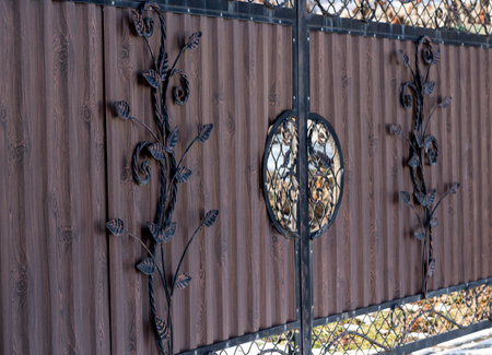 Ornate wrought-iron elements of metal gate decoration.