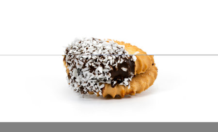 Chocolate cookies with coconut shavingの写真素材