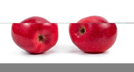 2 red apples on white backgroundの写真素材