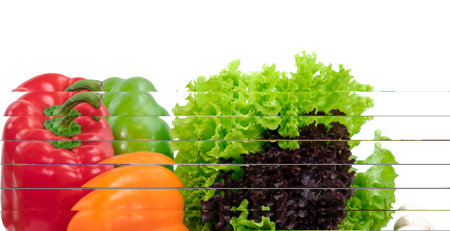 Lettuce, bell pepper and mushrooms on a white backgroundの写真素材