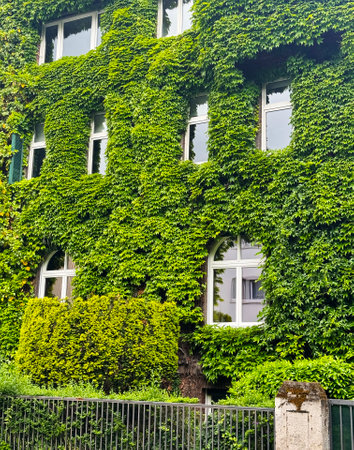 house facade covered in plantsの写真素材