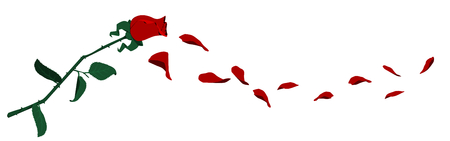 Flying rose petals on transparent backgroundのイラスト素材