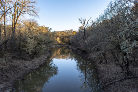 Calm River Tree Reflection at Sunsetの写真素材