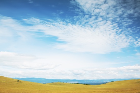 Yellow grass and the blue skyの写真素材