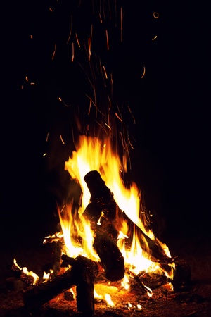 Bonfire burning at the nightの写真素材