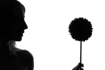 Silhouette of the woman with a flower on a white backgroundの写真素材