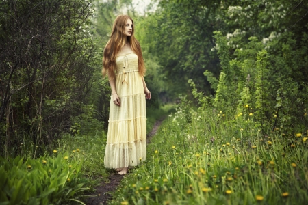 Photo of romantic woman in fairy forest  Beauty summertimeの写真素材