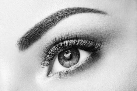 Female Eye with Extreme Long False Eyelashes. Eyelash Extensions. Makeup, Cosmetics, Beauty. Close up, Macroの写真素材