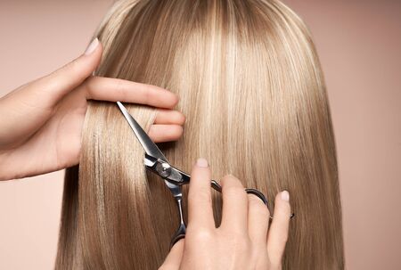 Hairdresser cuts long blonde hair with scissors. Hair salon, hairstylist. Care and beauty hair products. Dyed hairの写真素材