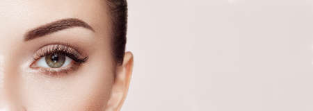 Female Eye with Extreme Long False Eyelashes. Eyelash Extensions. Makeup, Cosmetics, Beauty. Close up, Macroの写真素材