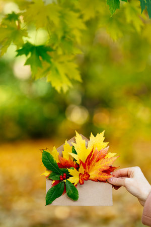 A woman holds an envelope with autumn leaves against the backdrop of an autumn park, autumn concept....