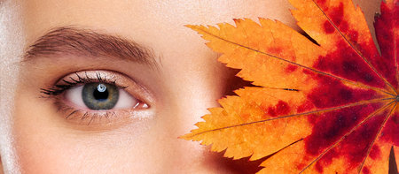 Beautiful female eyes with long eyelashes. Eyelash extensions. Makeup, cosmetics, beauty. Close up, macroの写真素材