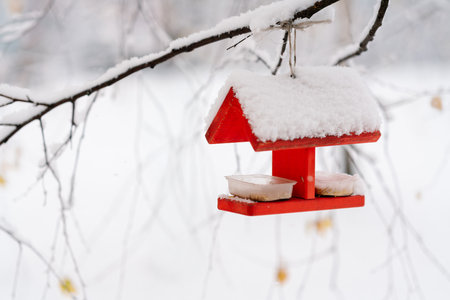 Red bird feeder hangs from a branch in a winter park. It's a snowy winter day. Helping the birdsの写真素材
